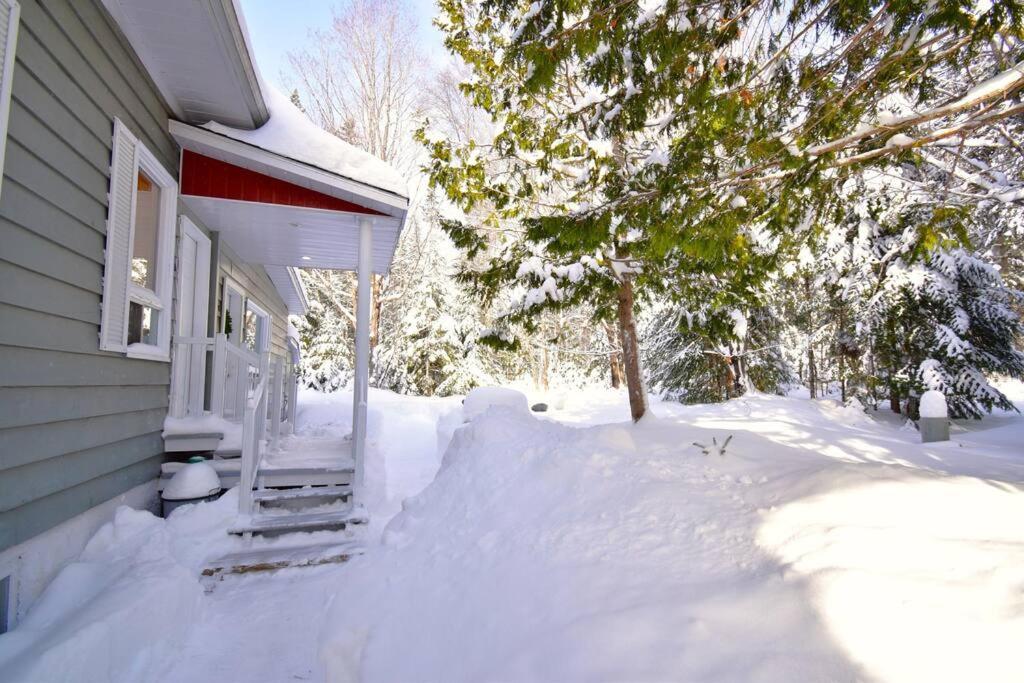 Le Petit Loft Du Boise - Nature Et Ski Villa Saint-Donat Exterior foto